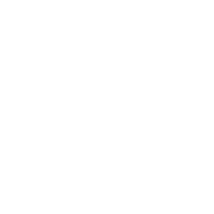 THE NEXT KI LOGO